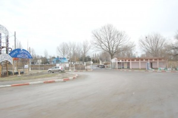 Au furat cablurile electrice din incinta Taberei din Năvodari
